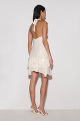 Aaliyah Sequin & Chiffon Mini Dress - Ivory